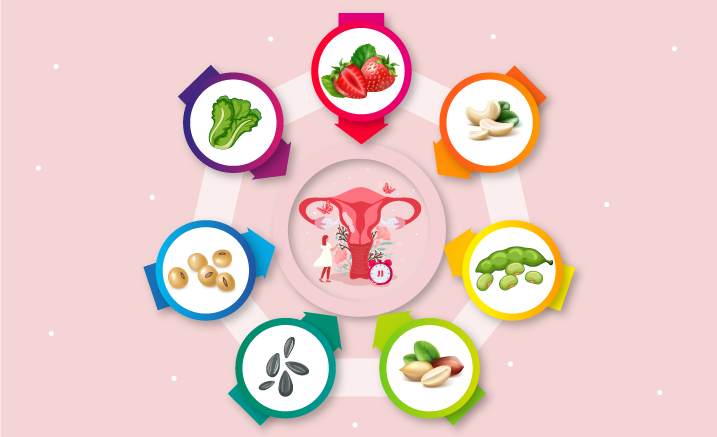 Estrogen rich foods for menopause