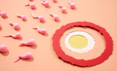 Here are 6 Tips to increase sperm count naturally that can help