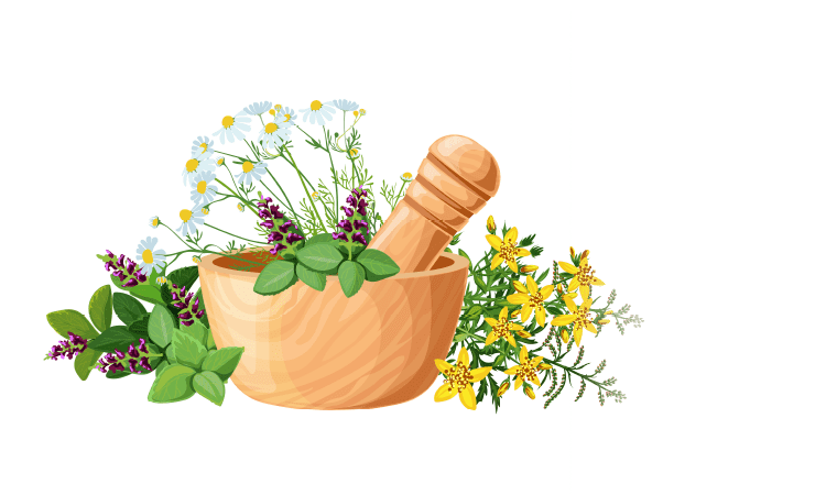 INGREDIENTS INGREDIENTS